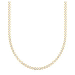 Elegance Chain - Lexie Jordan Jewelry