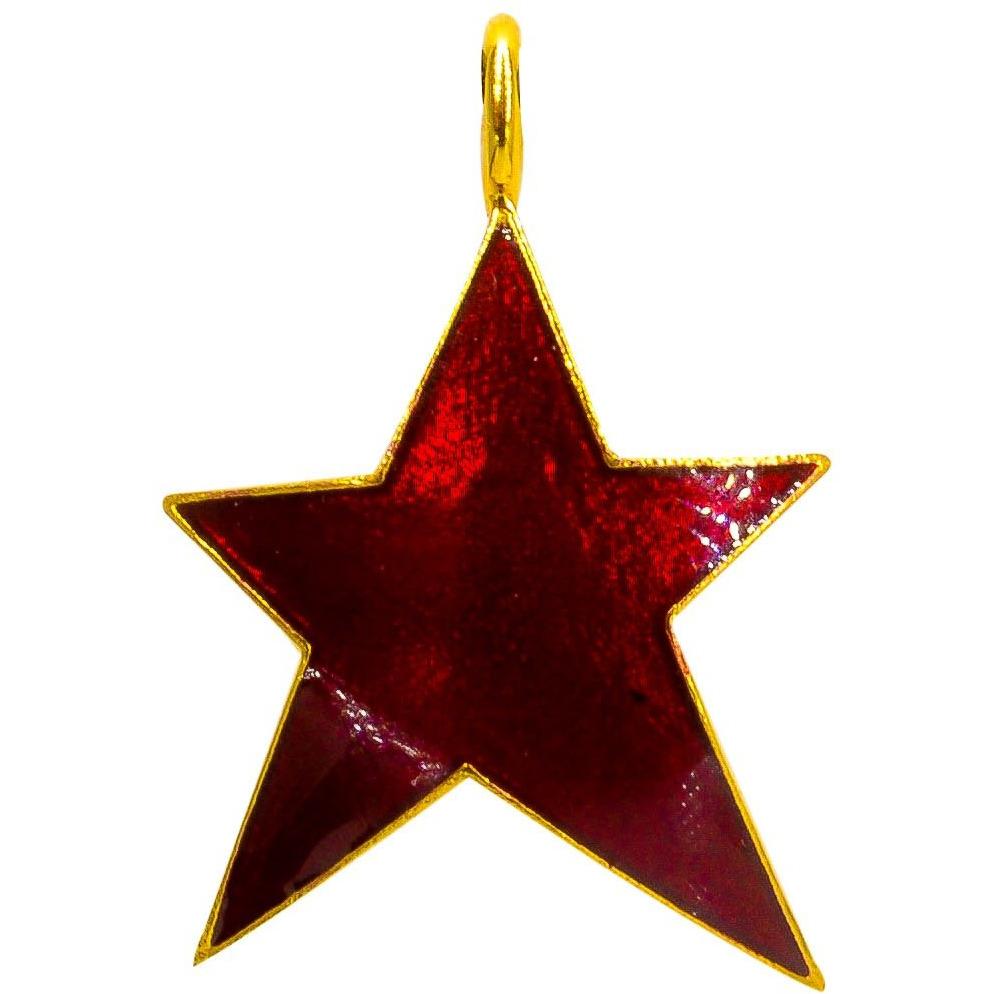 French Star Charm Necklace | 14K Gold | Glowing Enamel Color - Lexie Jordan Jewelry